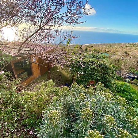 Arecida Abracaribes Bed & Breakfast エクステリア 写真