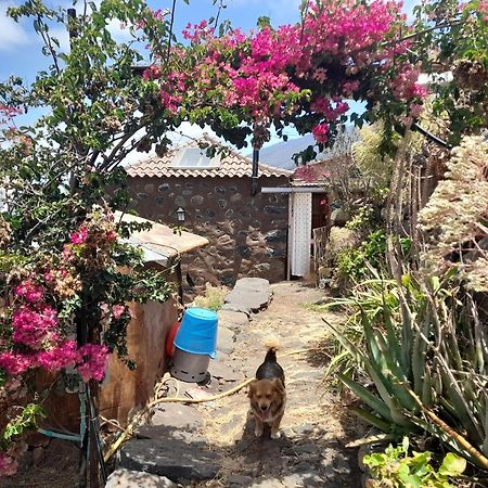 Arecida Abracaribes Bed & Breakfast エクステリア 写真