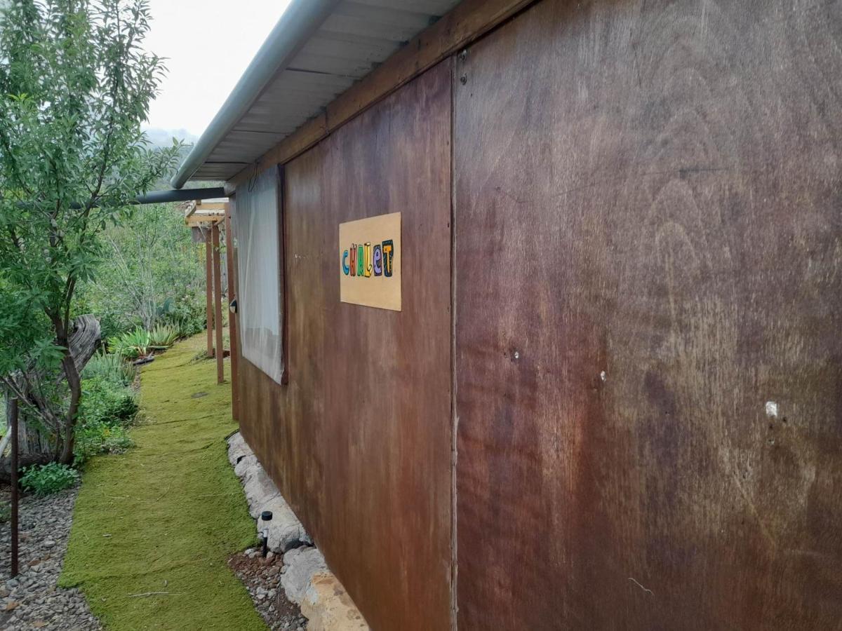 Arecida Abracaribes Bed & Breakfast エクステリア 写真
