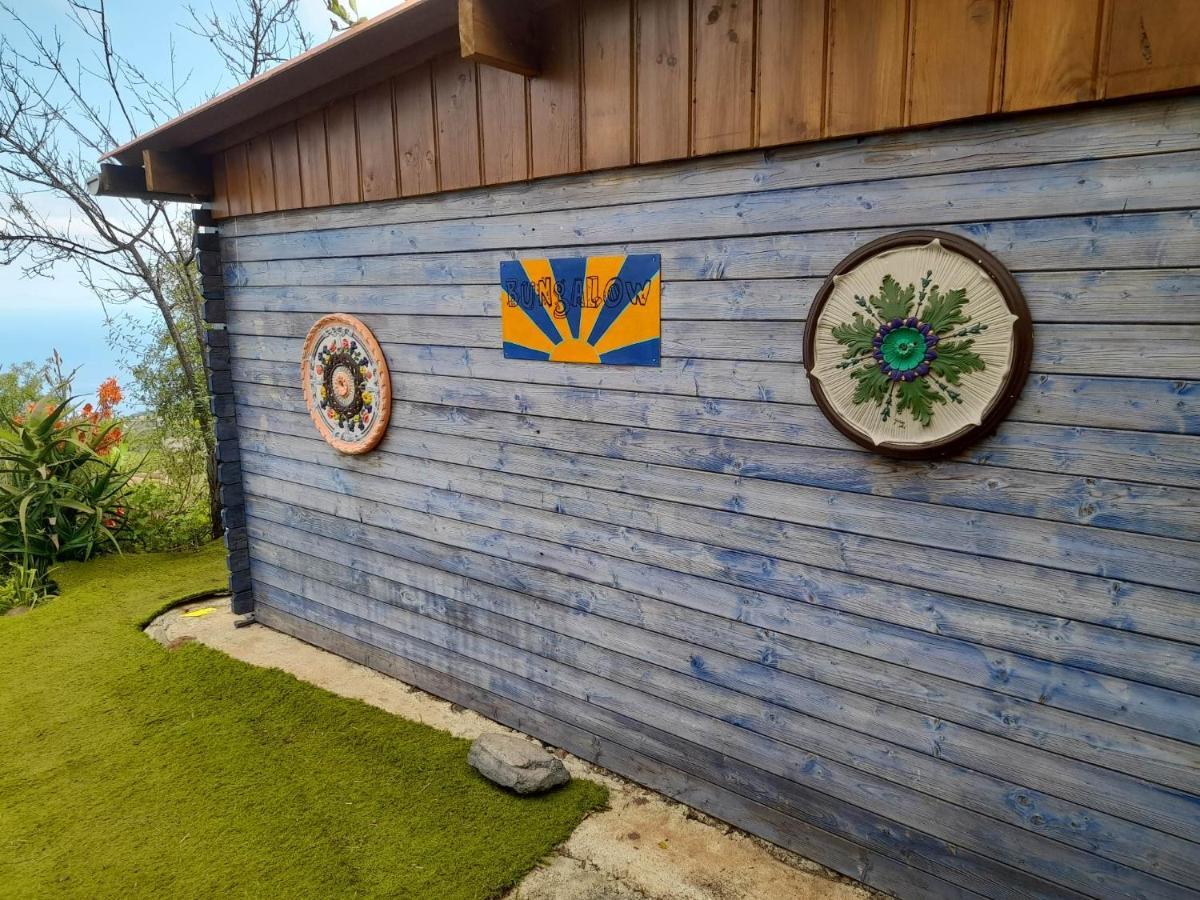 Arecida Abracaribes Bed & Breakfast エクステリア 写真