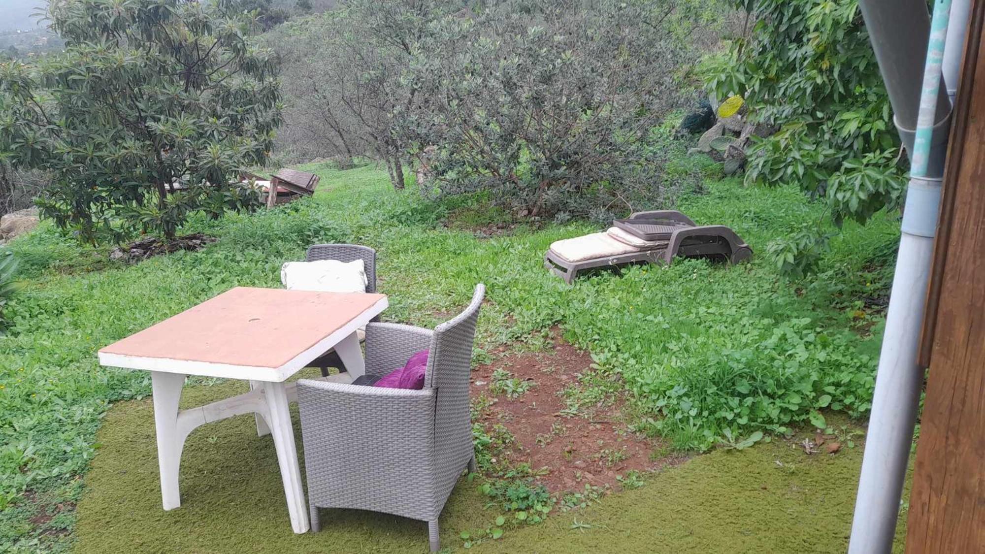 Arecida Abracaribes Bed & Breakfast エクステリア 写真