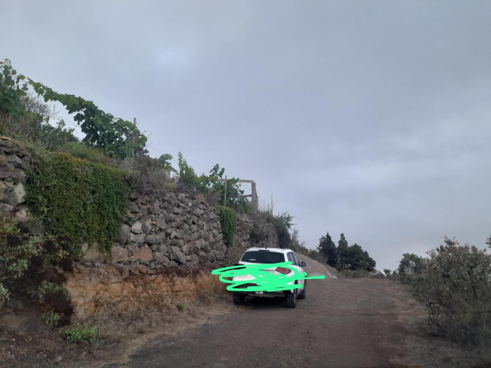 Arecida Abracaribes Bed & Breakfast エクステリア 写真
