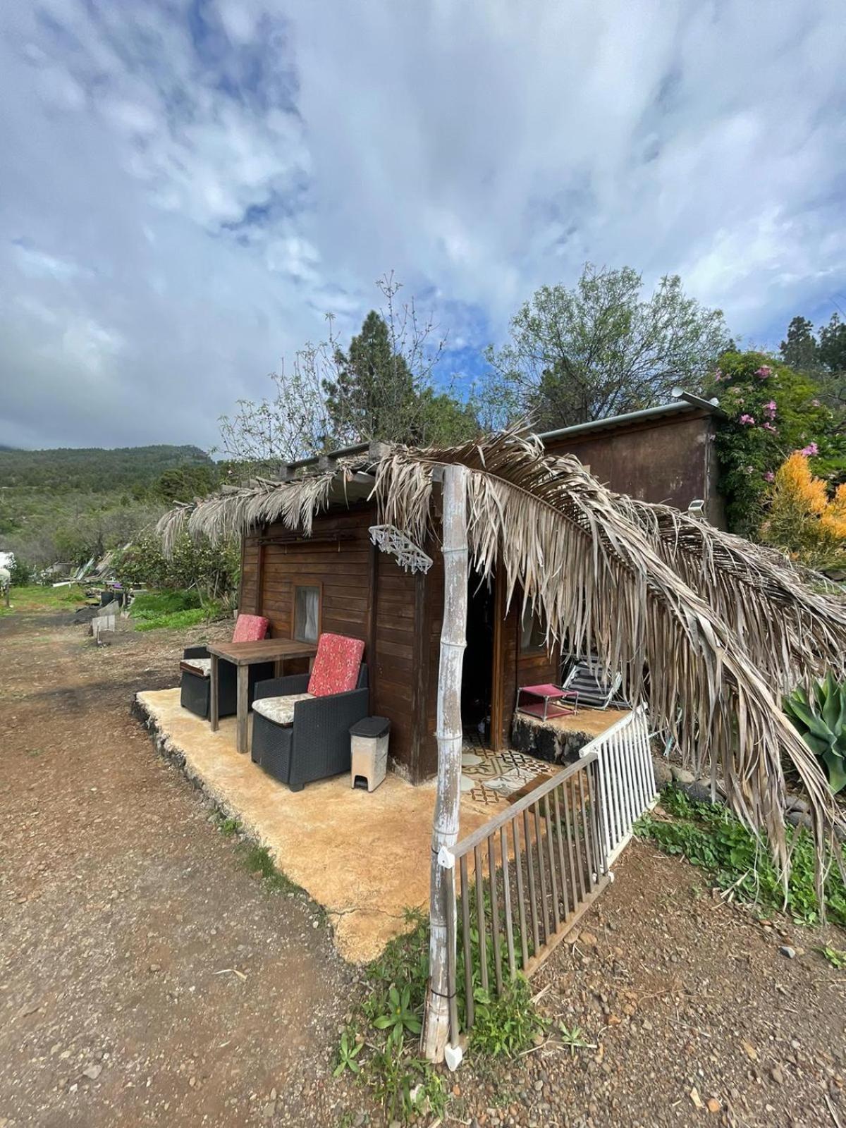 Arecida Abracaribes Bed & Breakfast エクステリア 写真