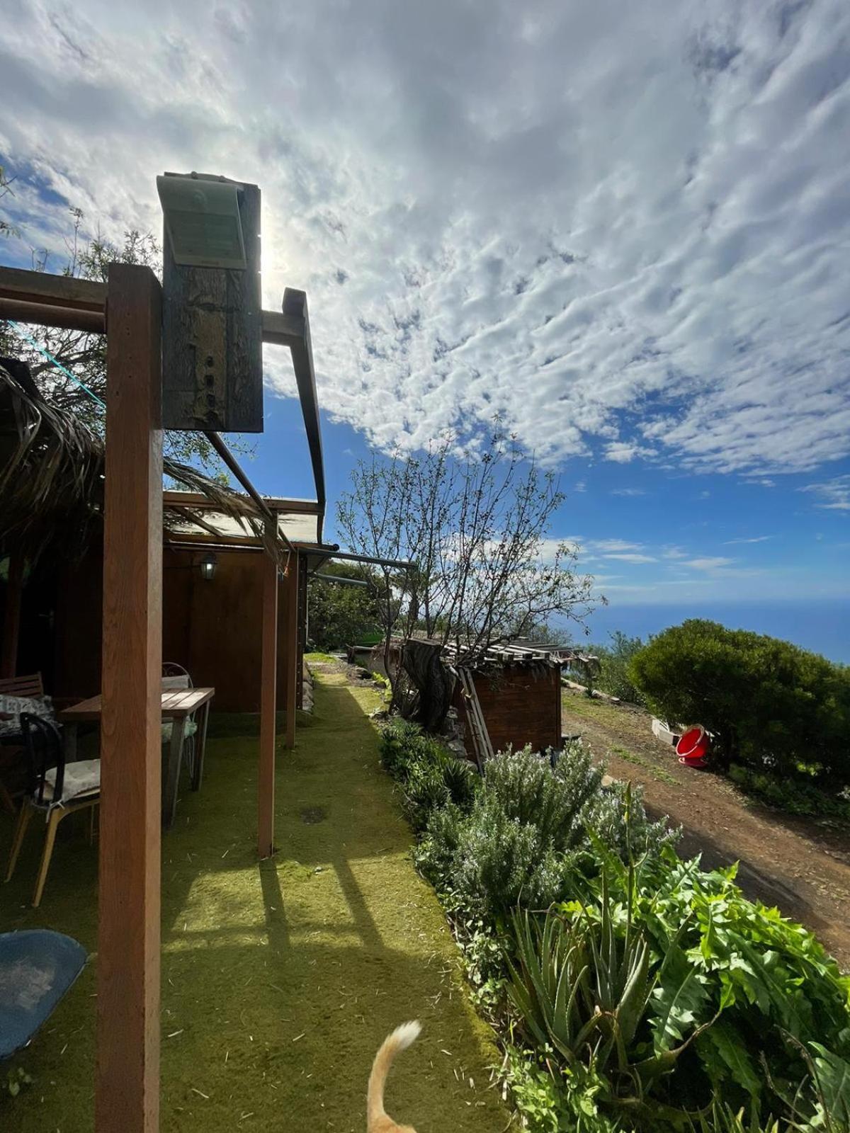 Arecida Abracaribes Bed & Breakfast エクステリア 写真