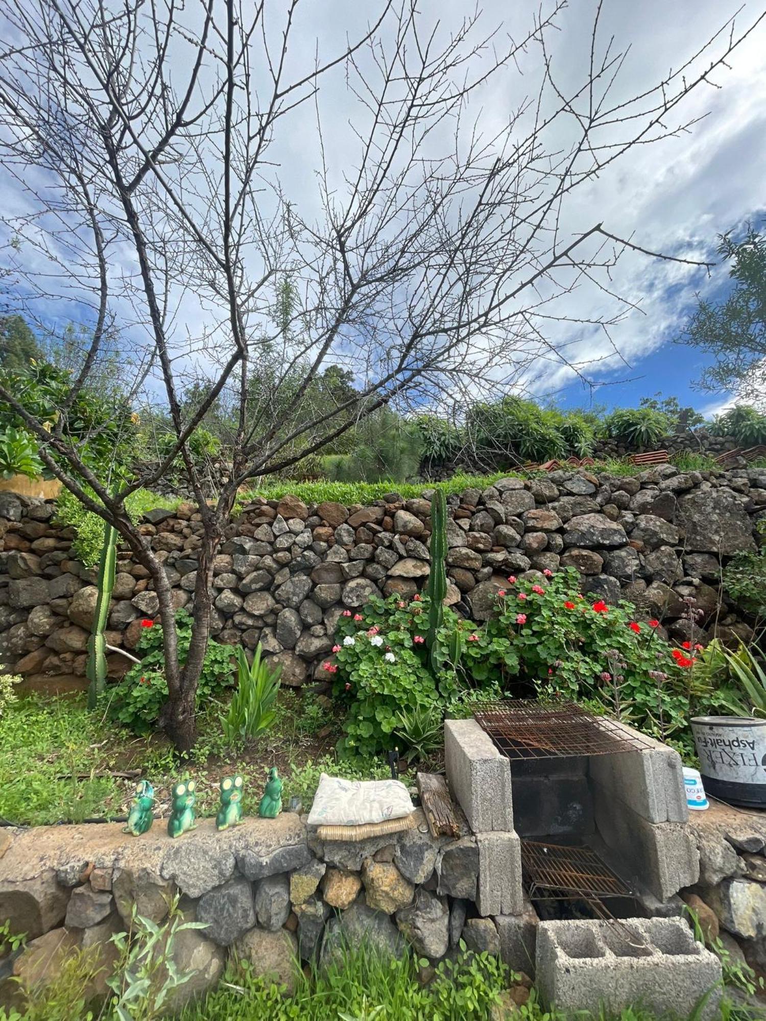 Arecida Abracaribes Bed & Breakfast エクステリア 写真