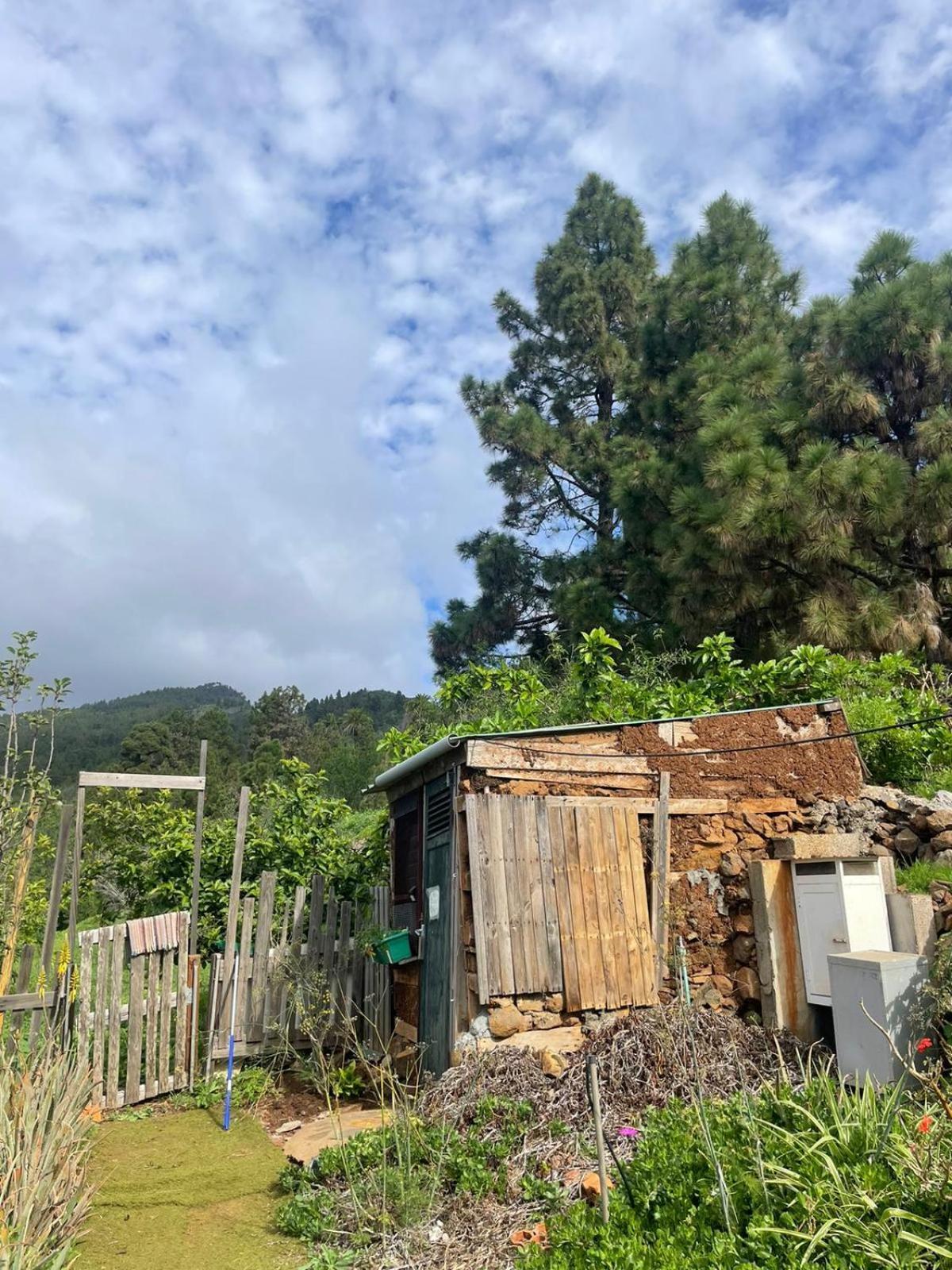 Arecida Abracaribes Bed & Breakfast エクステリア 写真