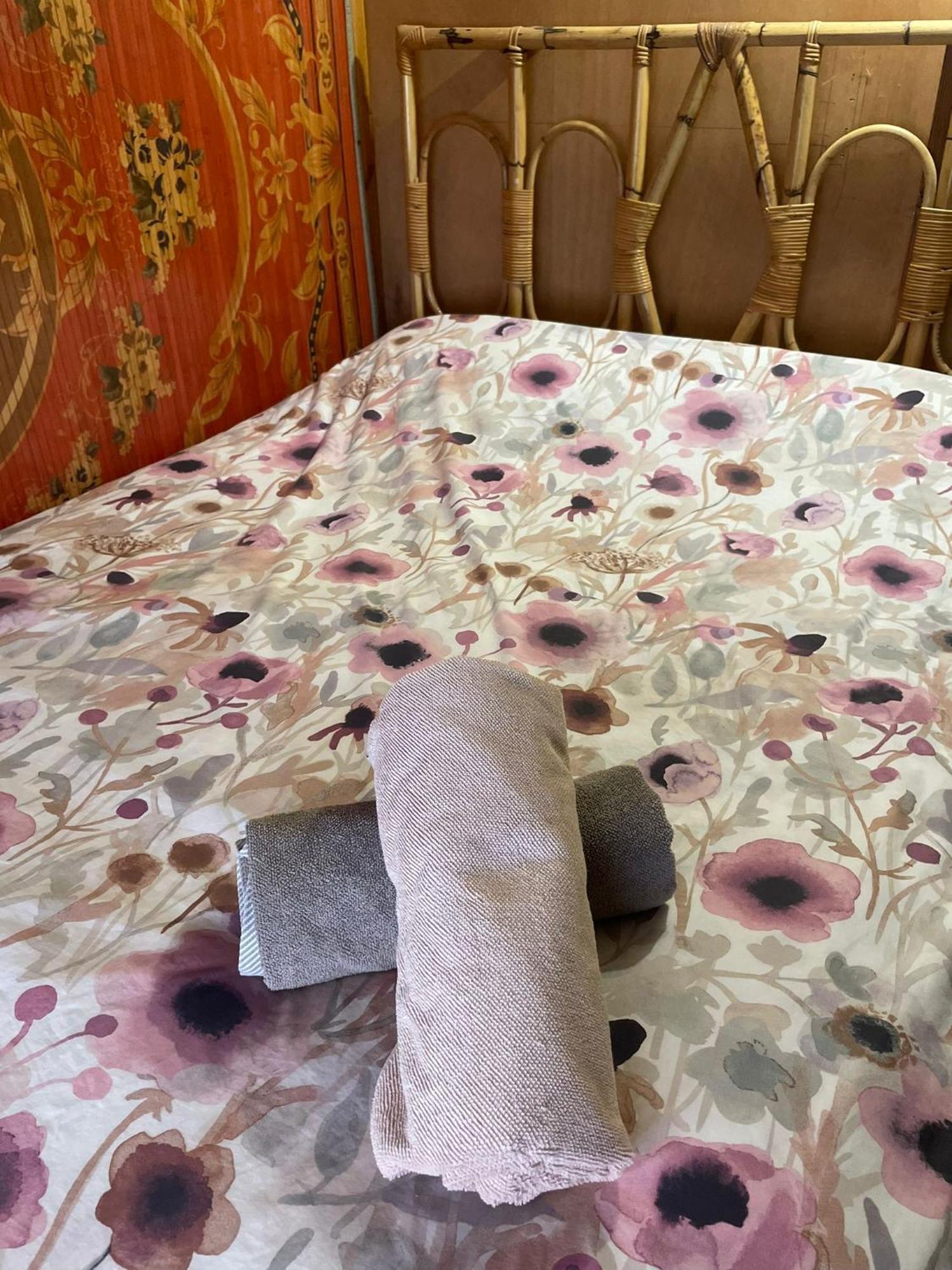 Arecida Abracaribes Bed & Breakfast エクステリア 写真