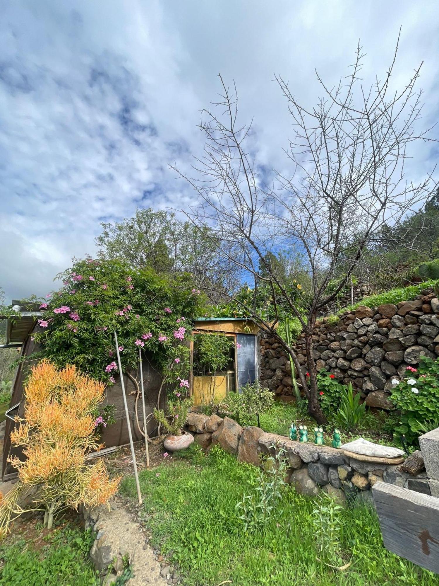 Arecida Abracaribes Bed & Breakfast エクステリア 写真