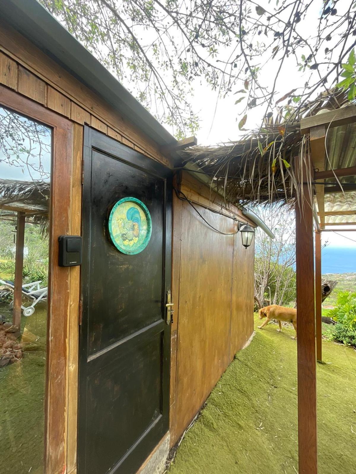 Arecida Abracaribes Bed & Breakfast エクステリア 写真