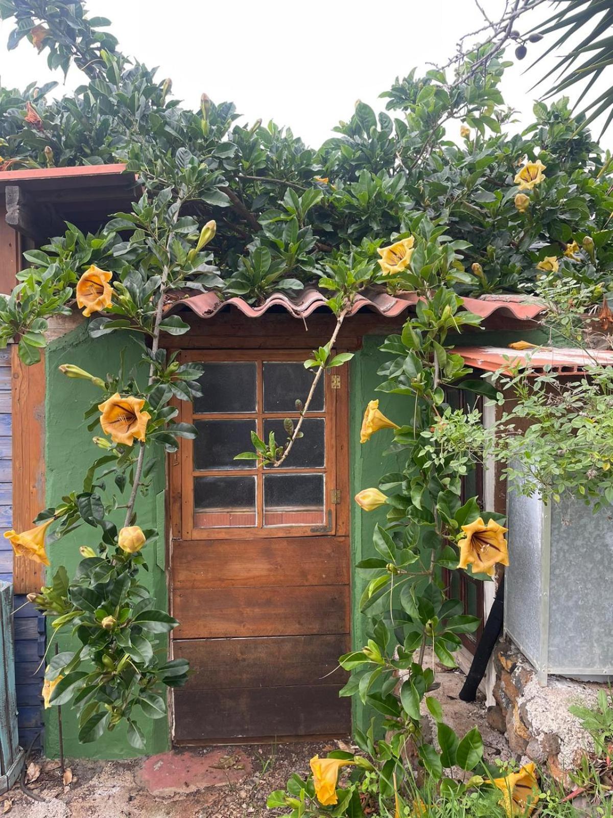 Arecida Abracaribes Bed & Breakfast エクステリア 写真