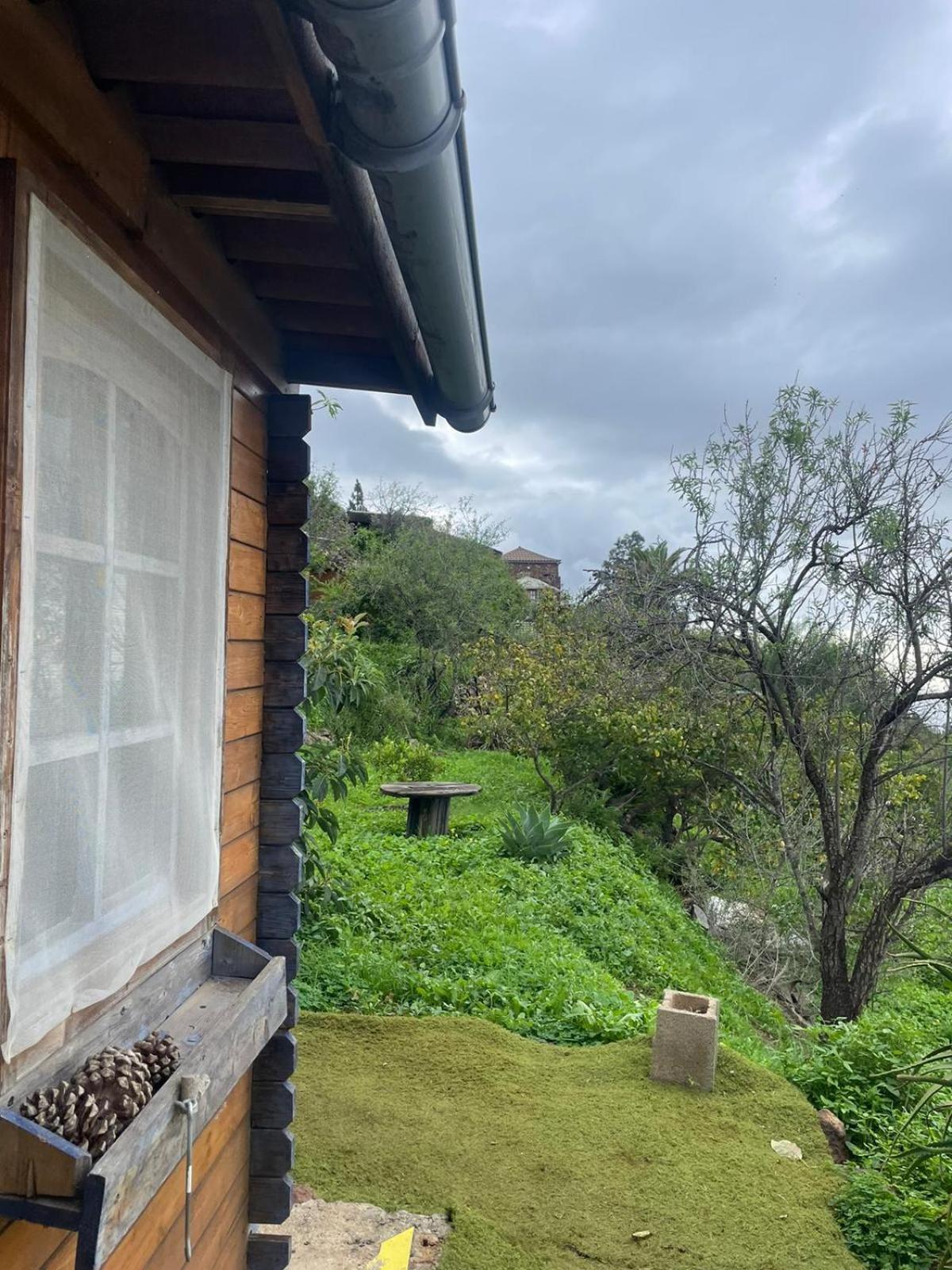 Arecida Abracaribes Bed & Breakfast エクステリア 写真