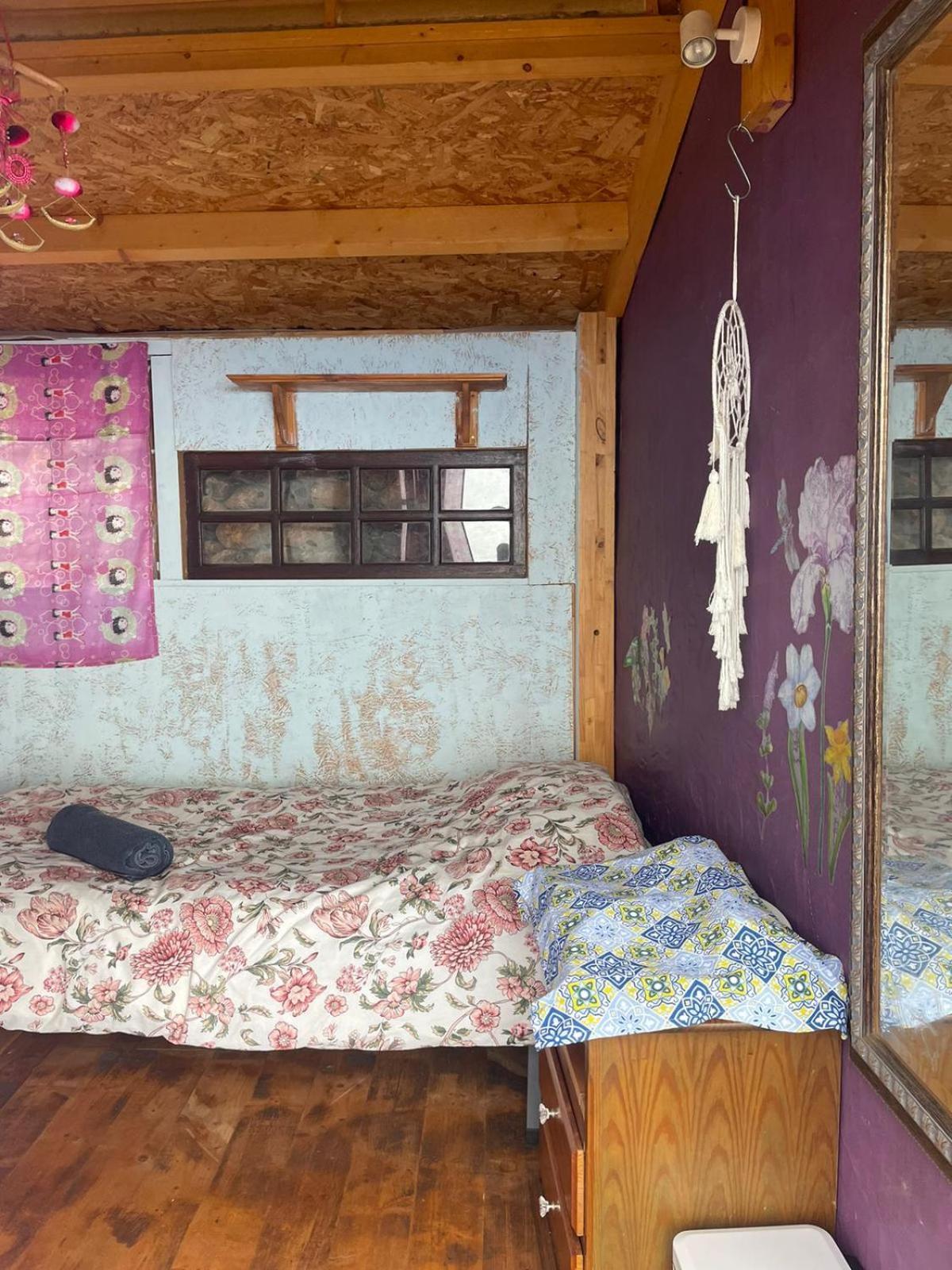 Arecida Abracaribes Bed & Breakfast エクステリア 写真